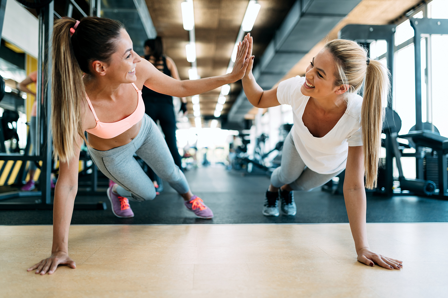 Welcome to the Formidable Fitness Center